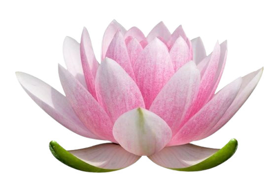 download 10 removebg preview